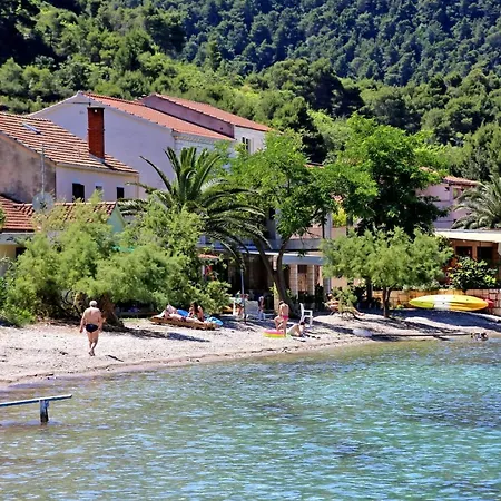 Apartments By The Sea Zuljana, Peljesac - 10228